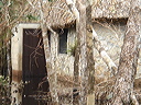 dsc00600